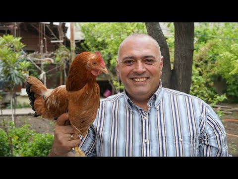 Видео: Шашлык из курицы. Маринад простой. СОЧНОЕ МЯСО.