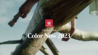 Tikkurila Colour Now 2023
