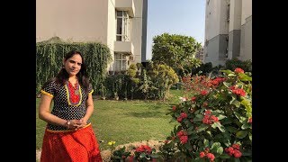 Mars in 2nd house. MS astrology, learn astrology  in Telugu series,