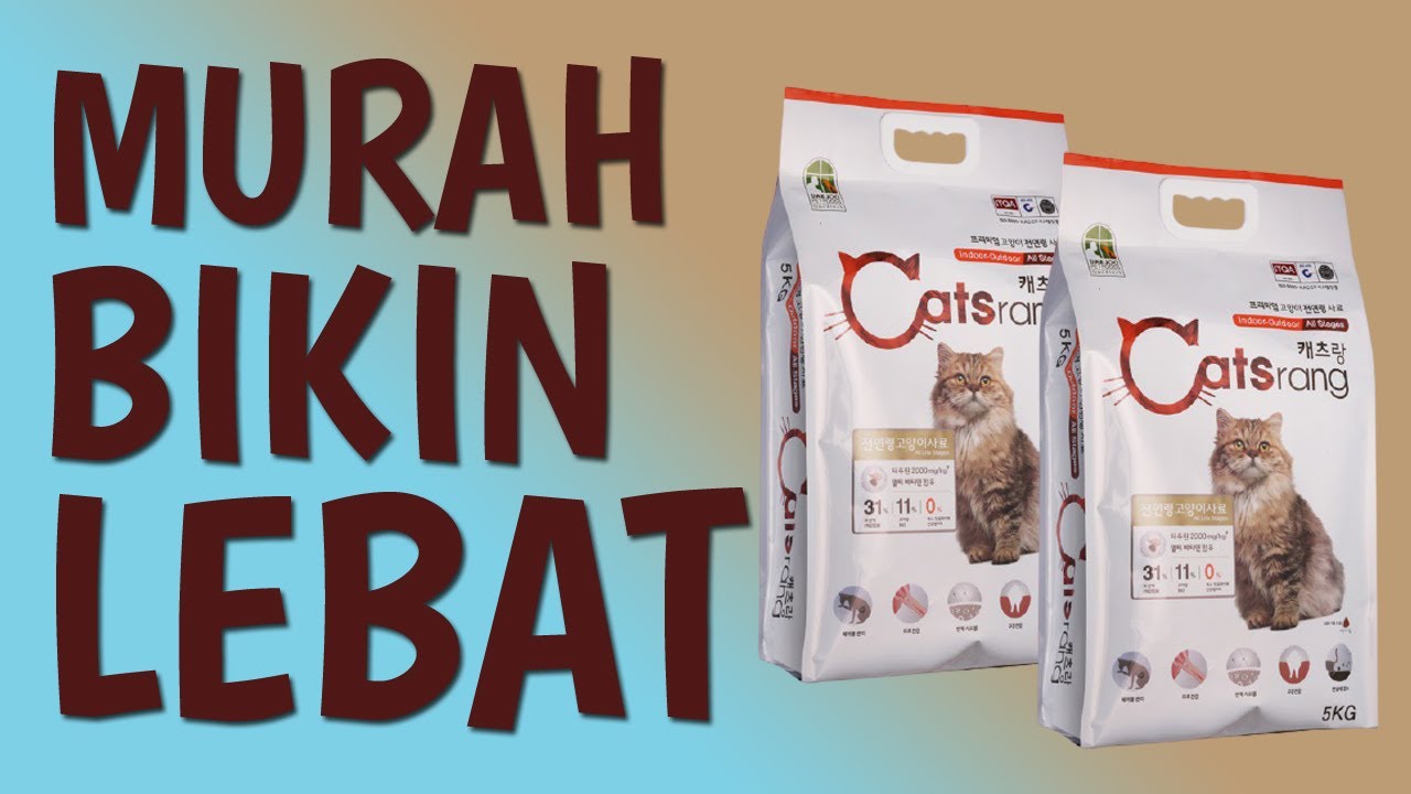 Review Makanan Kucing Catsrang Untuk Bulu Lebat Youtube