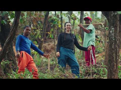 What does Environment sector work in Nepal look like?