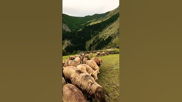 Haramosh valley #egzonibrahimi #سورة_الإخلاص #ikhlas #musicartist #nature #lehladakhtourism