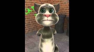 Talking Tom Impossible