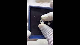 π Live Stream π 2026-08-22 03:55:50