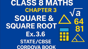 Class 8 Maths | Square & Square Root FULL Revision! | Ex. 3.6 | Cordova