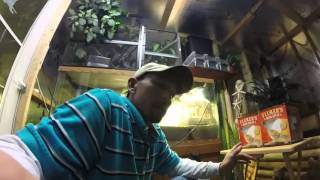 Flukers Sun spot bulb review