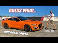 Mullet'd Chevy Enthusiast Drives a NEW Mustang GT500 w/900hp... (it actually freedoms)