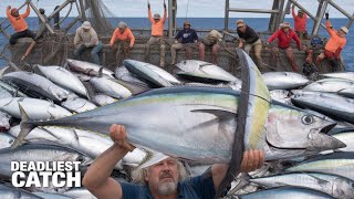 Inside the $1 Billion Tuna Trade: A Tale of Greed & Betrayal