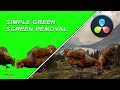 Easy Green Screen Removal in Davinci Resolve 16