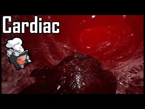 I'm Glad I Wasn't Born as Poop | Cardiac