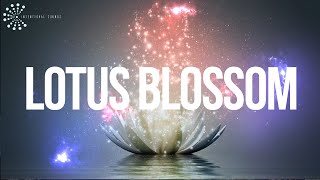 Lotus Blossom ❯  7th Chakra Activation ❯ Kundalini Yoga