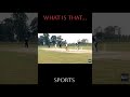 #sportsshorts #sports