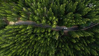 Making more sustainable vehicles: the inside story