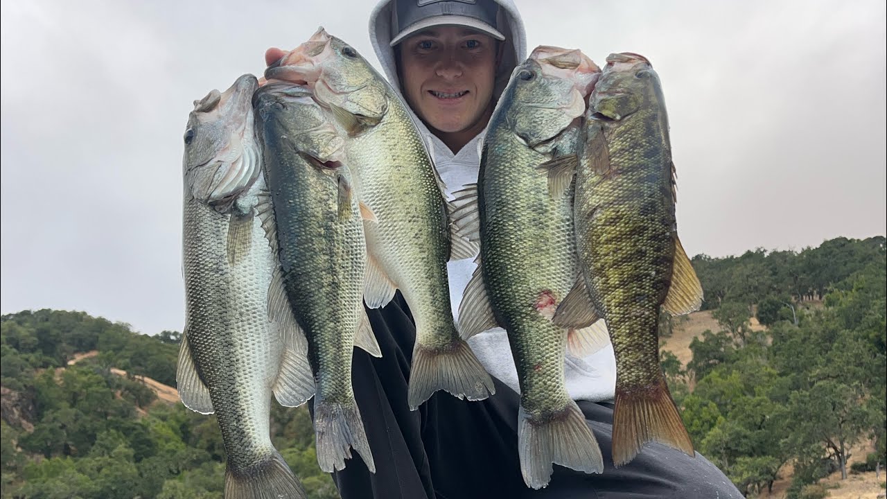Best Day Of Bassfishing Ive Ever Had at Lake Sonoma🔥Topwater Eats