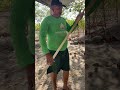 #berimbau #capoeira