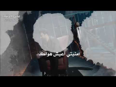 لو جوالضلع مرتين احبك وعشقاك مرتين