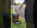 لن تصدق من سلة المهملات إلى خلية الحياة Viralvideo Shortfeed لن تصدق من سلة المهملات إلى خلية الحياة Viralvideo Shortfeed