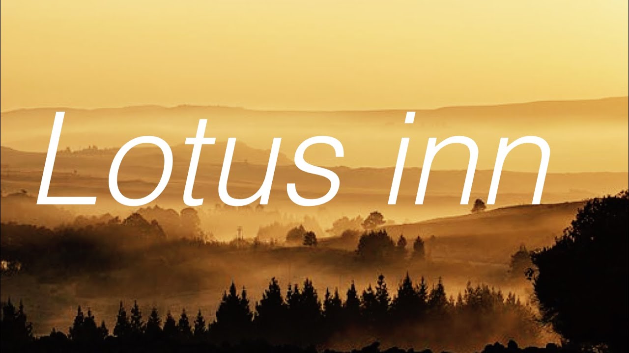 Why don’t we lotus Inn (lyrics) YouTube