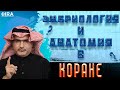 Научный Факт или Ошибка в Коране?  || Коран 86:7 || Роб Кристиан 09