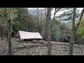 تنها در جنگل Only In The Forest 