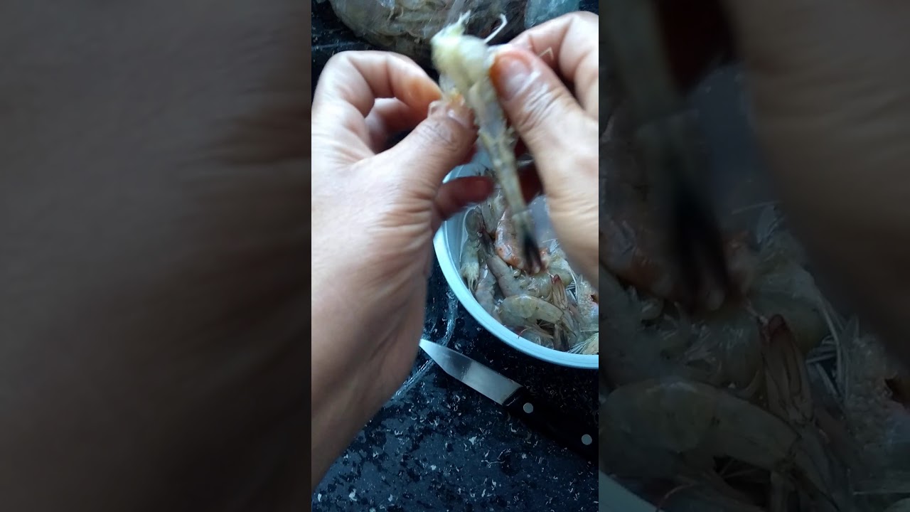 Como tirar o intestino do camarão. - YouTube