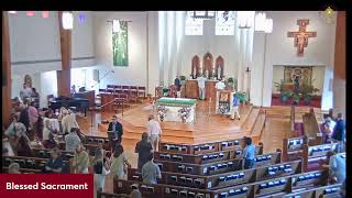 8:30am Mass, Eleventh Sunday in Ordinary Time