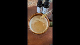 Will Mushroom Extracts Make Make Drunk?