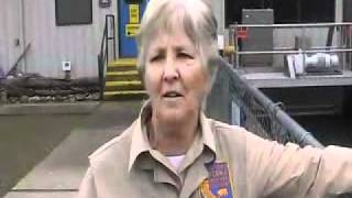 Nimbus Fish Hatchery, Folsom, California