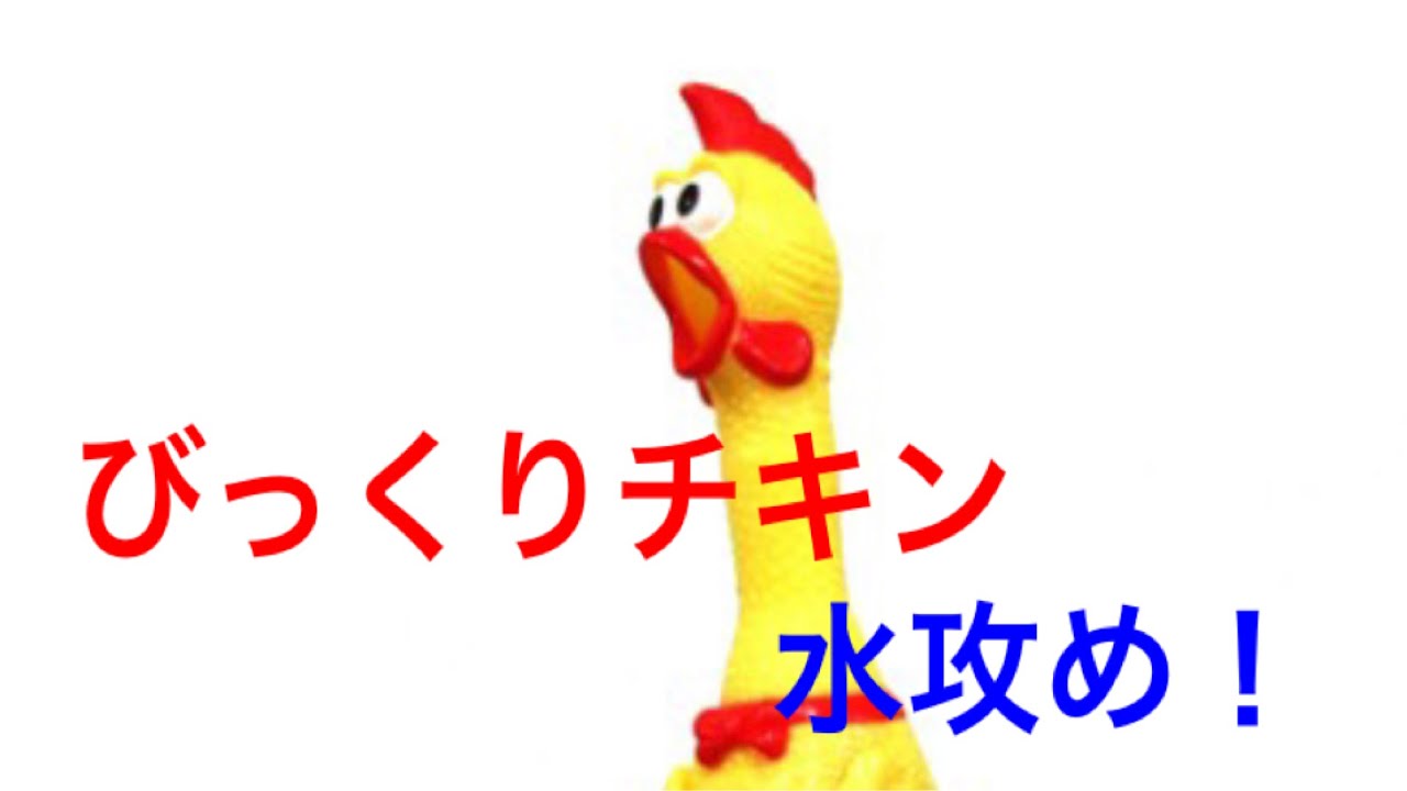 びっくりチキンに拷問してみた Youtube