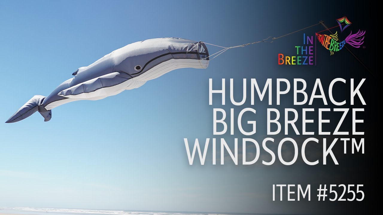 Humpback Big Breeze Windsock™ | Wholesale Garden Décor | In the Breeze