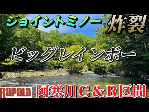 【阿寒川ニジマス】スーパー激戦エリアでもビッグレインボーをヒットさせるラパラジョイントは本当に凄い！