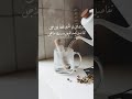 مشاري راشد العفاسي حالات واتس اب دينية مقاطع انستقرام ثواني من وقتك 