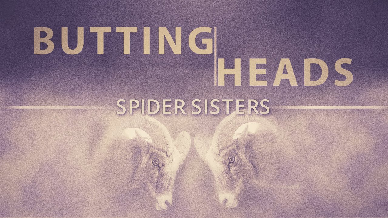 Spider Sisters - Worship October 4th, 2020 - YouTube