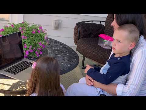 YouTube video