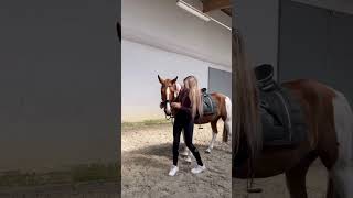 Something’s off? 🧐🐴 #equestrian #horse #shorts