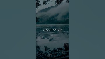#ياسر_الدوسري #القرآن_الكريم #quranismylife #explore #foryou #viral #اكسبلور #quran #تلاوة_خاشعة