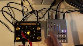 Ambient bundle v2 Wingie mk2 Cloudbusting goldXO  Super nice combination.￼
