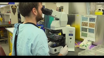 Biomedicine and Medical Research