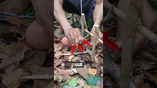 When Primitive Engineering Outruns Raw Reflexes 🧠