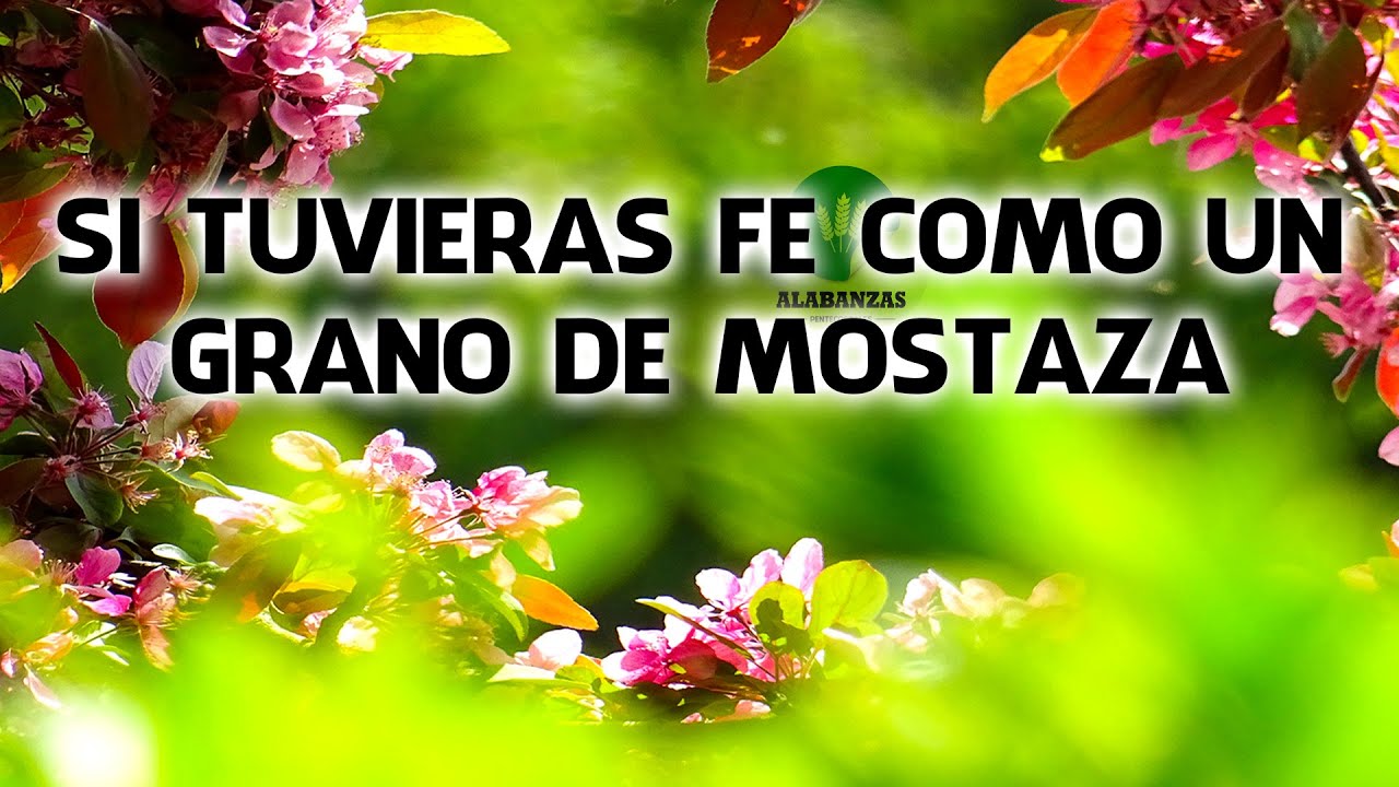 Si Tuvieras Fe Como Un Grano De Mostaza Coros Pentecostales De Fuego Y Avivamiento YouTube Si Tuvieras Fe Como Un Grano De Mostaza Coros Pentecostales De Fuego Y Avivamiento YouTube