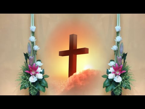 Video W026 Simple Church Flower Arrangement 簡約教堂擺設，Cắm hoa... - youtube