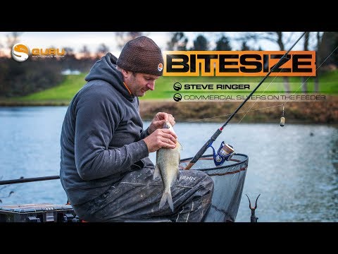 GURU BITESIZE: Commercial Silvers On The Feeder - Steve Ringer