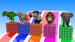 Long Slide Game With Elephant Gorilla Buffalo Hippopotamus Tiger 3d Animal Game Funny 3d Animals