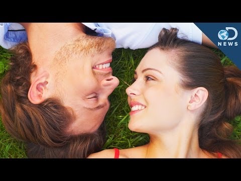 Your Brain In Love