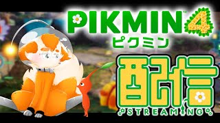 【ピクミン4】防災狐が未知の惑星でレスキュー⁉🦊🚒ピクミン4実況配信！🌸【Vtuber】