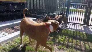 Playgroup 8112016 Short Version