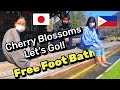 Free foot bath in japan  cherry blossoms  filipino single father in japan