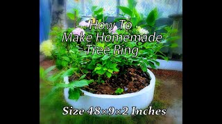 How to Make Homemade Tree Ring | Easy Steps