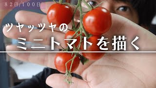 家庭菜園で採れたツヤッツヤのミニトマトを描くよー！描き方までわかる
