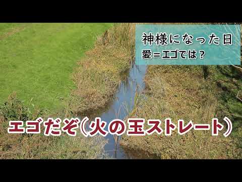 【神様になった日11話】大切なことは見届けること。もうこれドキュメンタリー級だろw【ラジオ】